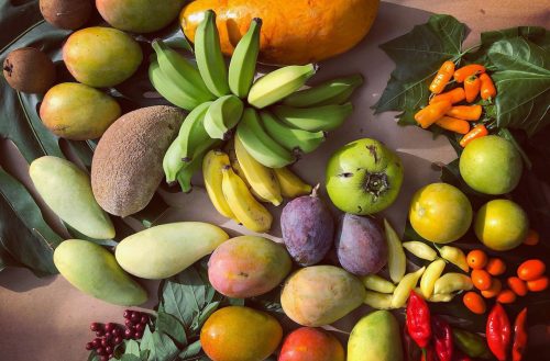 Tropical fruits from trees at Ready-to-Grow Gardens