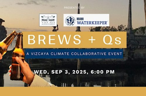 Vizcaya Brew + Qs